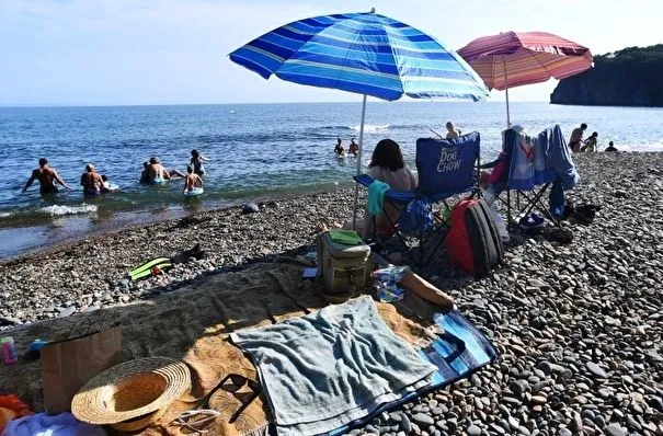 Побережье в Приморье, где найдены мертвые птицы, безопасно для отдыхающих