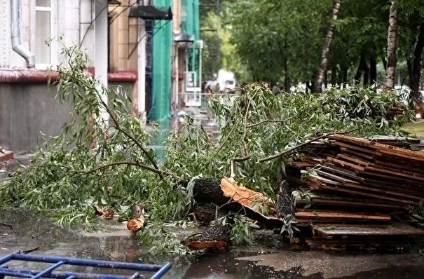 Более 2 тыс. жителей Новгородской области остались без света из-за непогоды