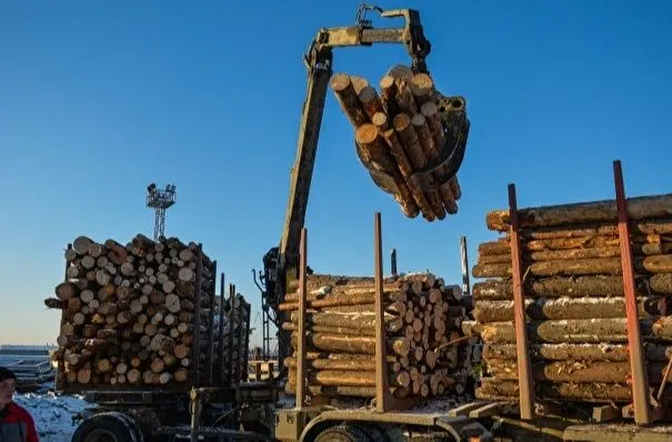 Таможня выявила контрабанду более 190 кубометров леса в Приморье