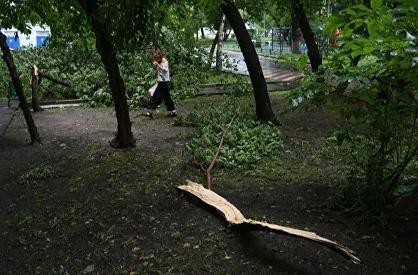 Один человек погиб, десять пострадали из-за непогоды в Москве