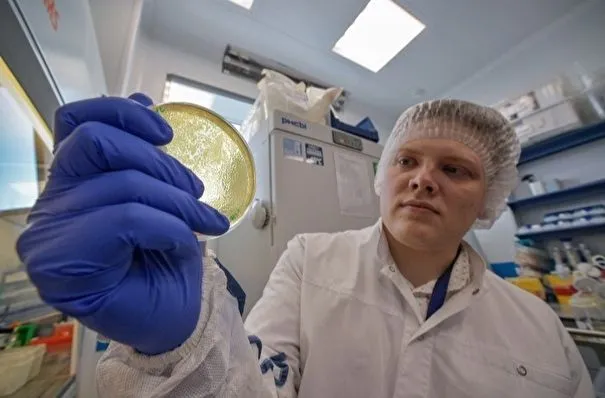 Московские научно-исследовательские компании увеличили оборот до 65,4 млрд рублей