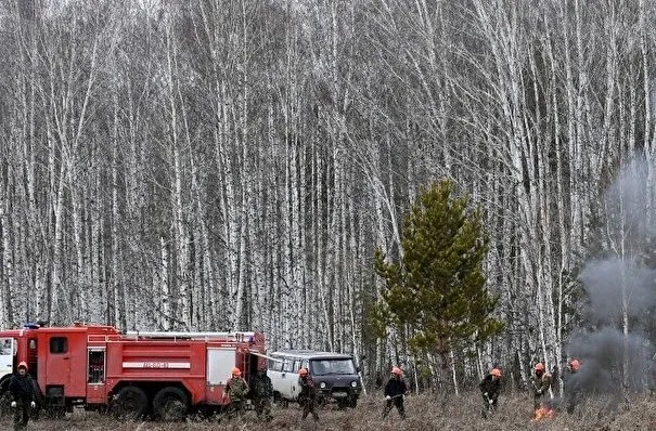 Площадь природных пожаров в Свердловской области сократилась до 4,6 тыс. га - власти