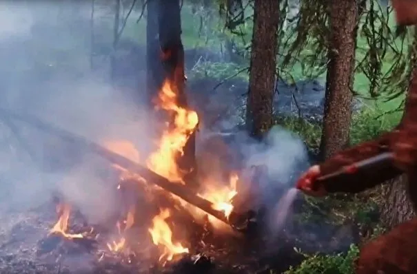 Ситуация с лесными пожарами ухудшилась за сутки в ХМАО