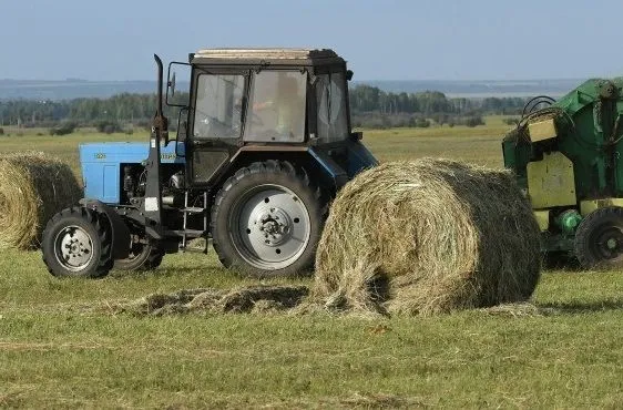 Самарская область констатирует трудности с заготовкой кормов, но рассчитывает на свои силы