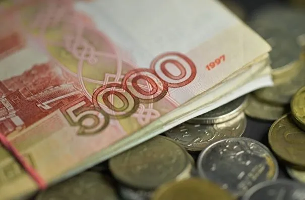 Дополнительные 30 млн рублей выделены на поддержку матерей-героинь