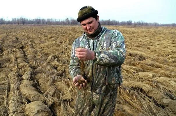 Пониженная ставка единого сельхозналога для свердловских аграриев будет действовать до 2028г