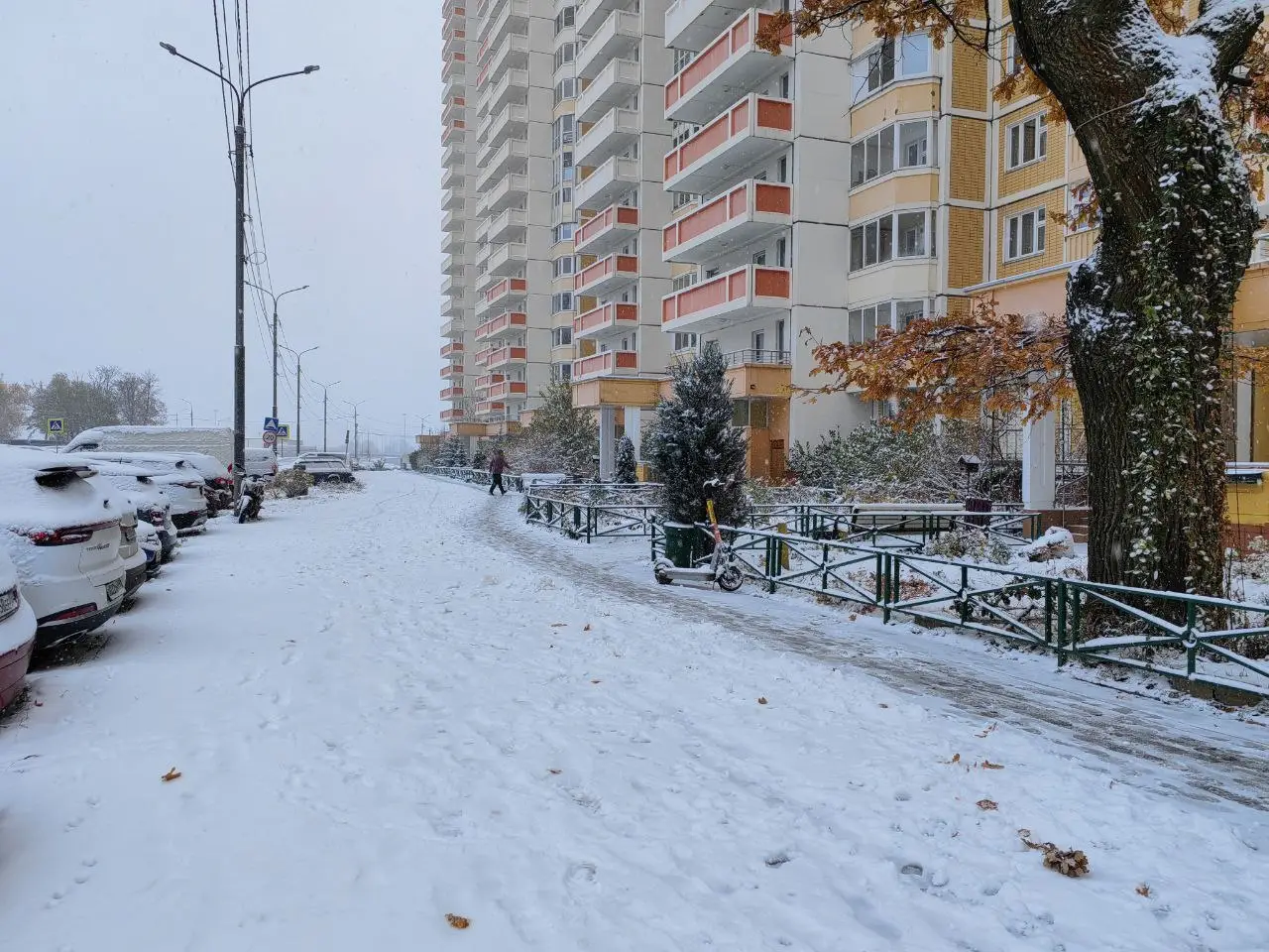 Зимняя погода вернется в Москву в конце января, в феврале ожидаются морозы. Фото. © 