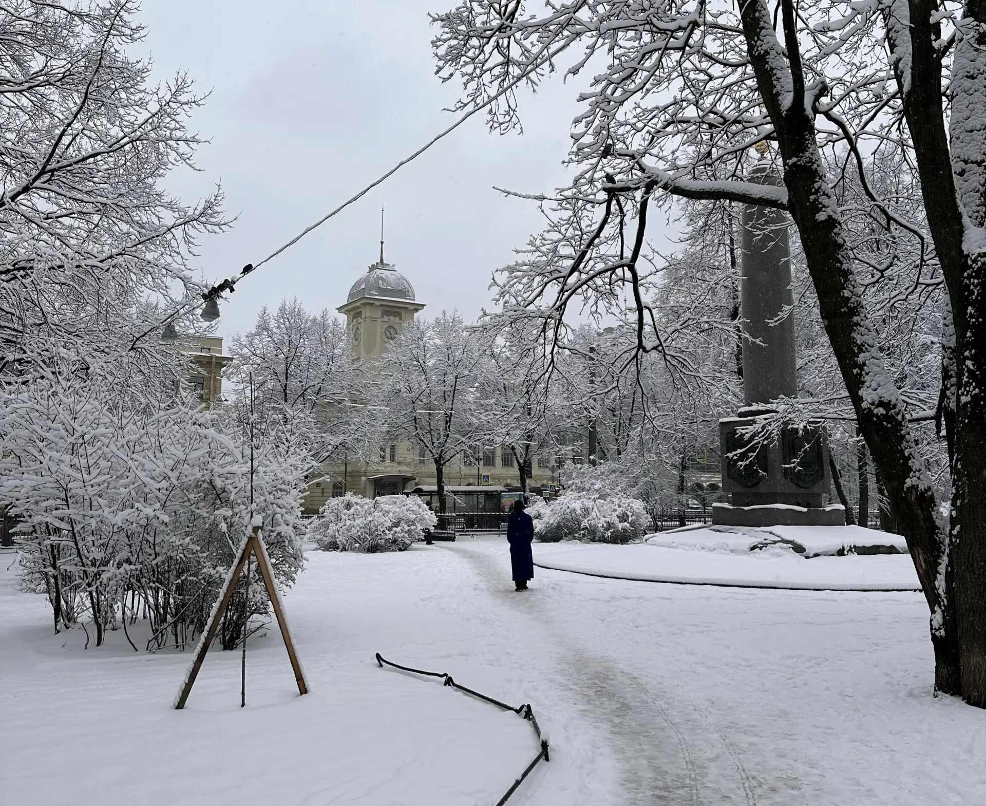 Зимы без снега Петербургу не грозят - синоптик. Фото. ©