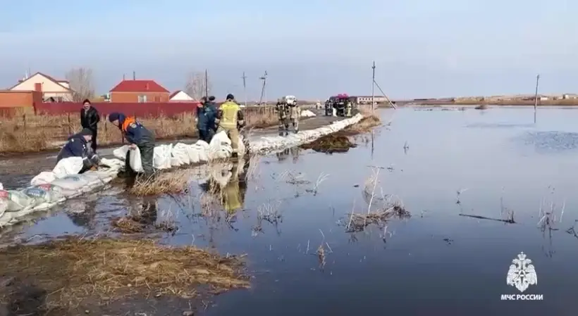 Челябинская область проходит пик паводка на полмесяца раньше - губернатор. Фото. © РИА Новости. МЧС РФ