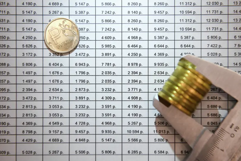 Контрольно-счетная палата Приморского края выявила нарушения на 26 млрд рублей. Фото. © РИА Новости Нина Зотина
