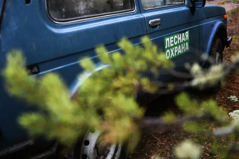 Запрет на посещение лесов введен в Самарской области. Фото. © РИА Новости. Александр Кряжев