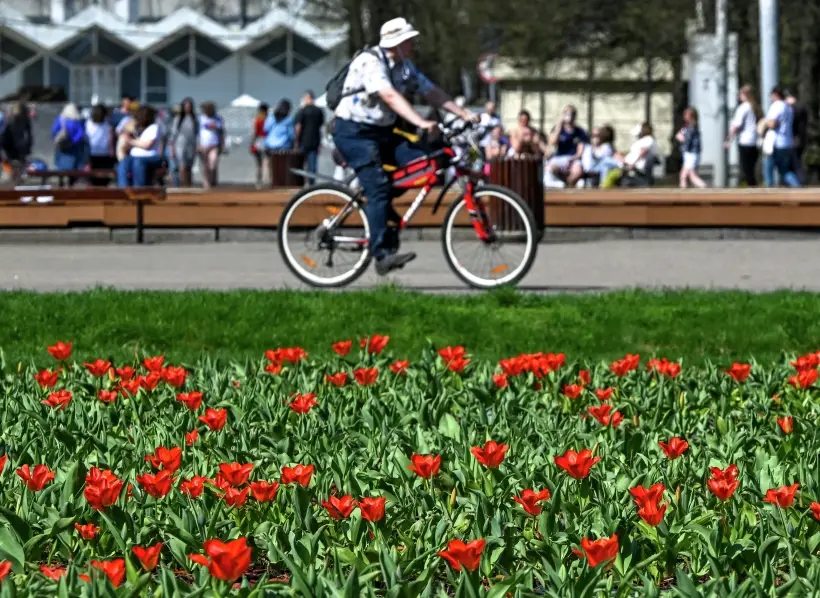 В Москве зацветет 15 млн тюльпанов - Собянин. Фото. © РИА Новости. Михаил Воскресенский