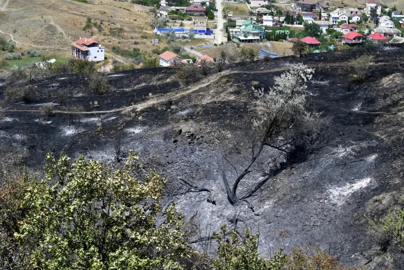 Виновник пожара в Карадагском заповеднике Крыма получил условный срок. Фото. © РИА Новости. Дмитрий Макеев