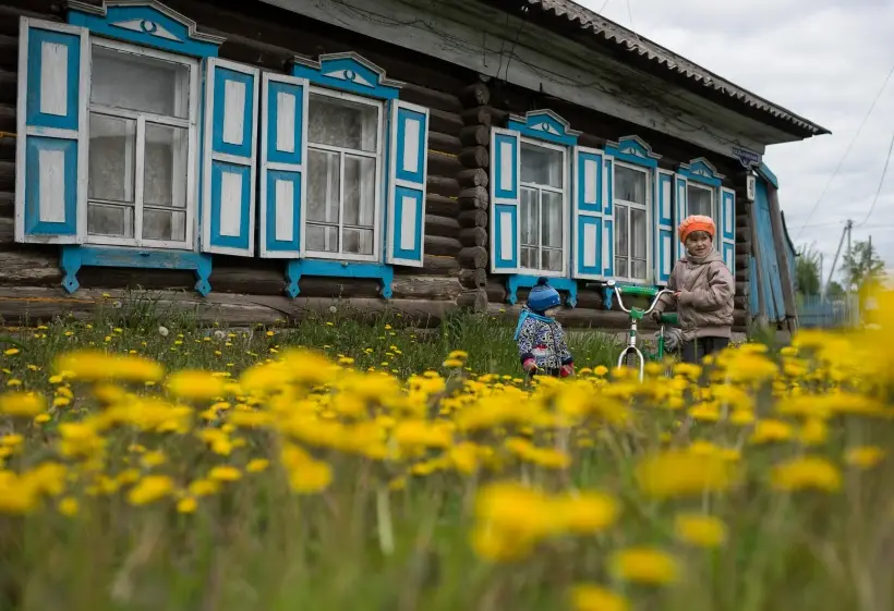 Многие считают одуванчик сорняком, но на деле это очень полезный продукт. Фото