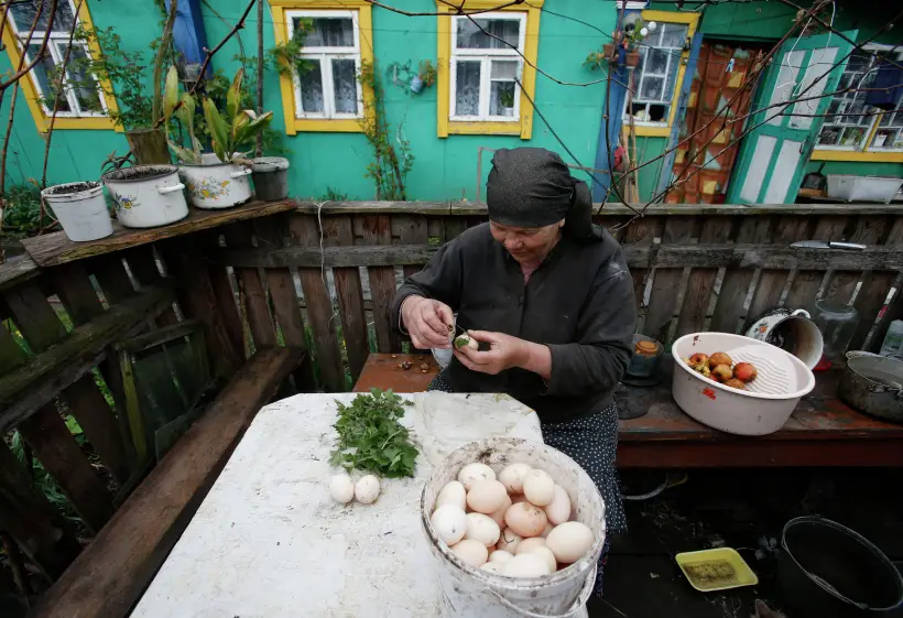 Крапива: польза и вред для здоровья