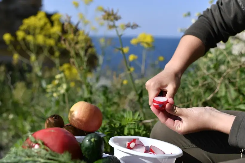 Редиска: польза и вред для здоровья, вкусные рецепты