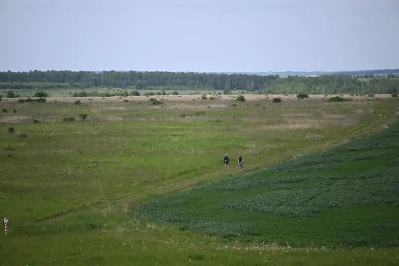 Круглогодичный экокурорт появится в Тульской области. Фото. © РИА Новости. Григорий Сысоев