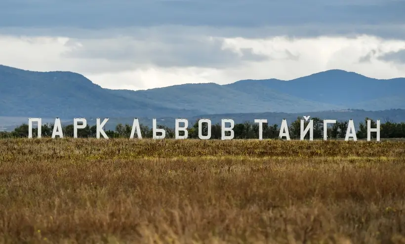 Дело возбуждено после нападения льва на директора парка