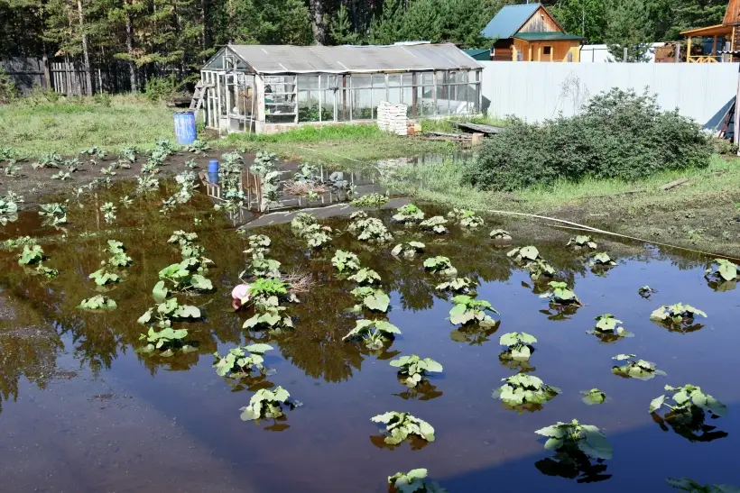 Режим ЧС вводится в Якутии из-за паводковой ситуации - глава региона. Фото. © РИА Новости. Евгений Епанчинцев