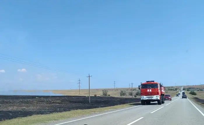 Лесная подстилка горит на юго-востоке Крыма на 3 га. Фото. ©