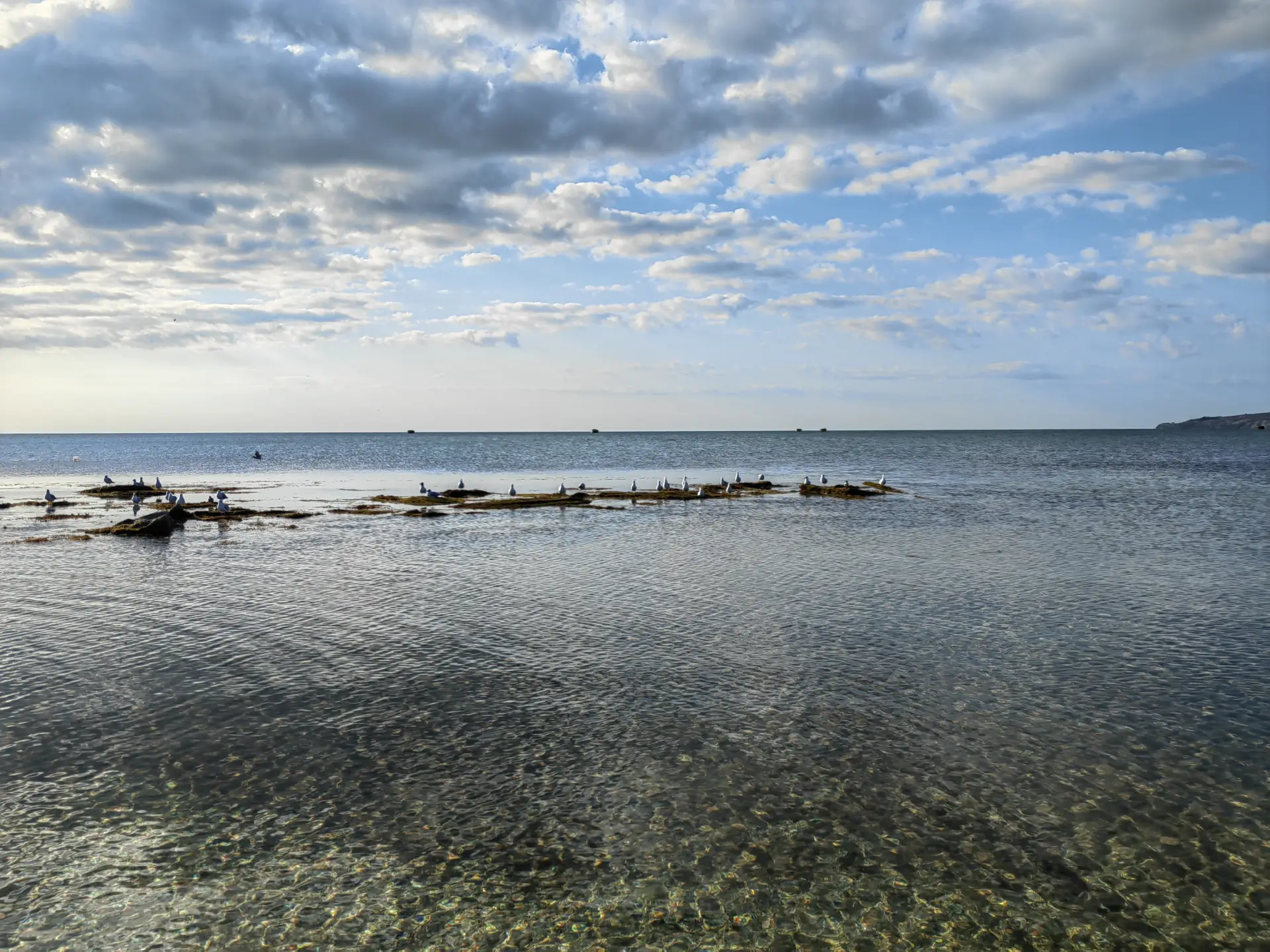 Вода в Черном море в настоящее время соответствует нормам - Роспотребнадзор. Фото. © 