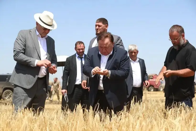 Валовой сбор зерна в Ингушетии в 2025г вырос более чем в 2,5 раза. Фото. © Пресс-служба главы Ингушетии. Юсуп Ханиев