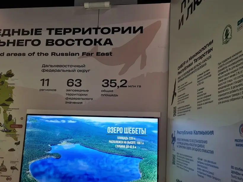 © "Интерфакс". Вероника Перминова