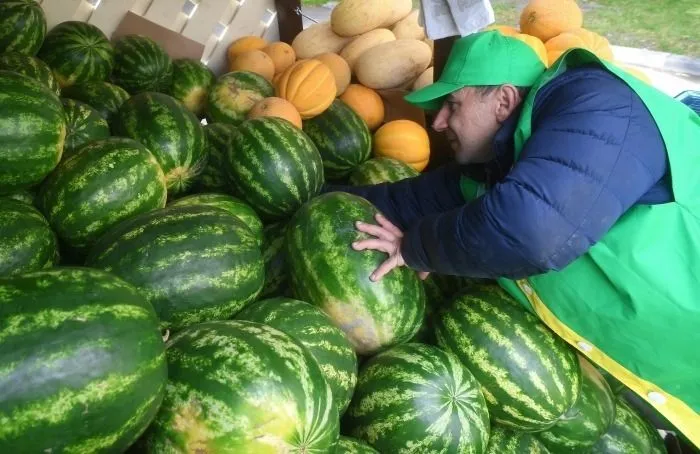 В Москве открылись бахчевые развалы