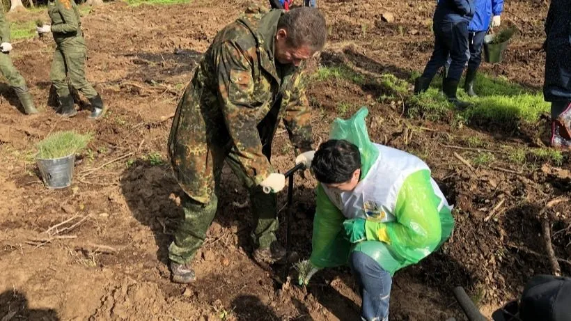 Свыше 220 тысяч деревьев высадили в Подмосковье в рамках экологической акции