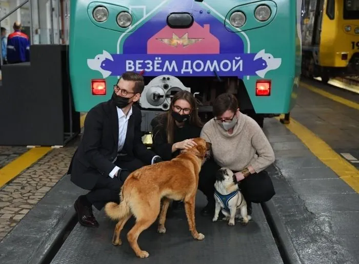 Поезд "Хвосты и лапки" в поддержку бездомных животных запустили в метро