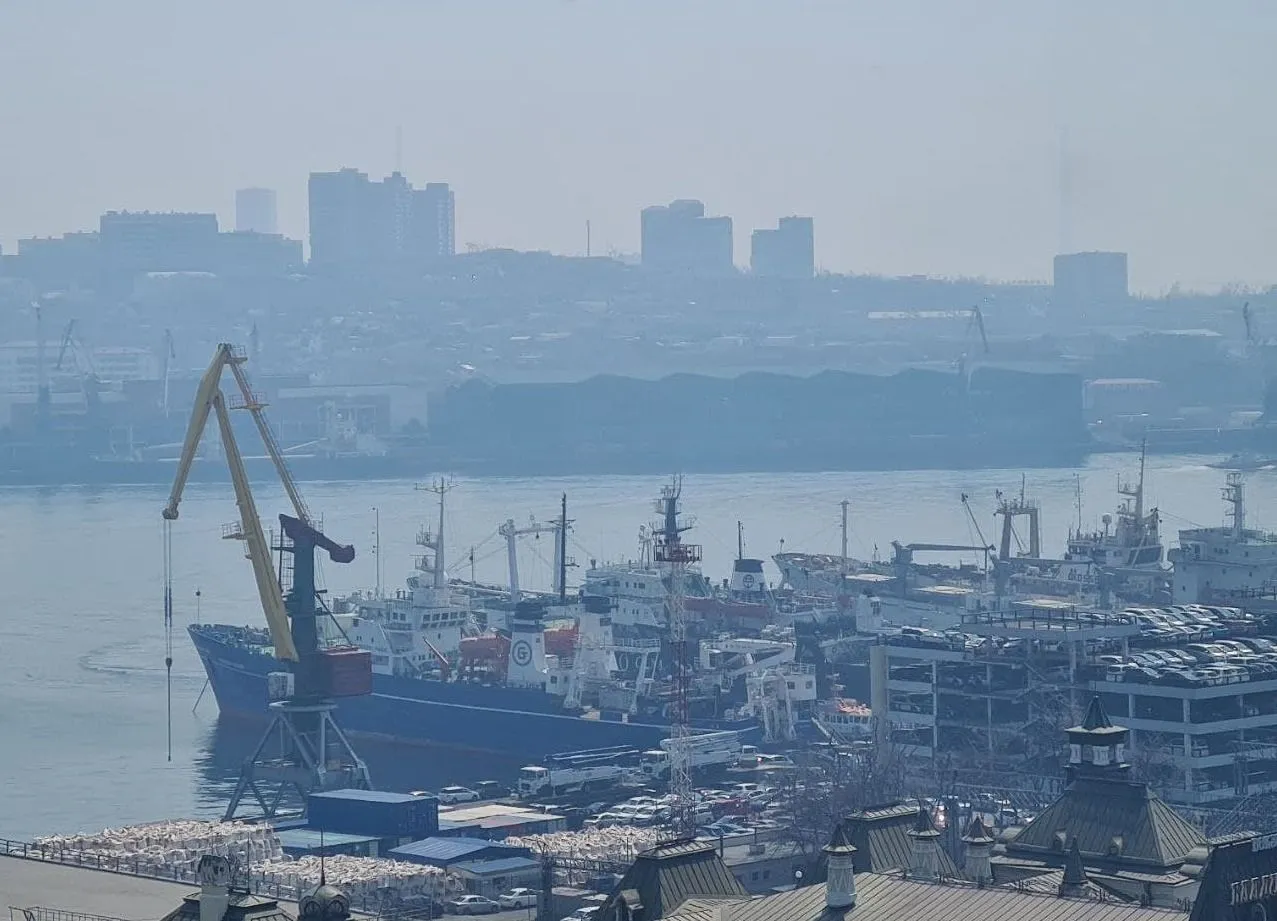 Владивосток окутал дым от природных пожаров