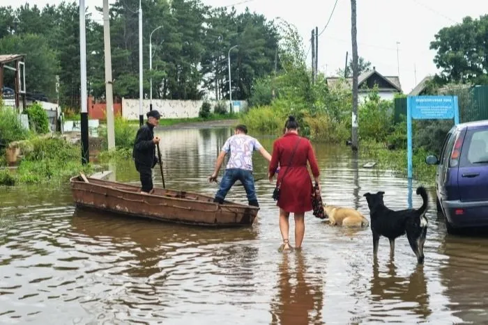 Цена наводнения