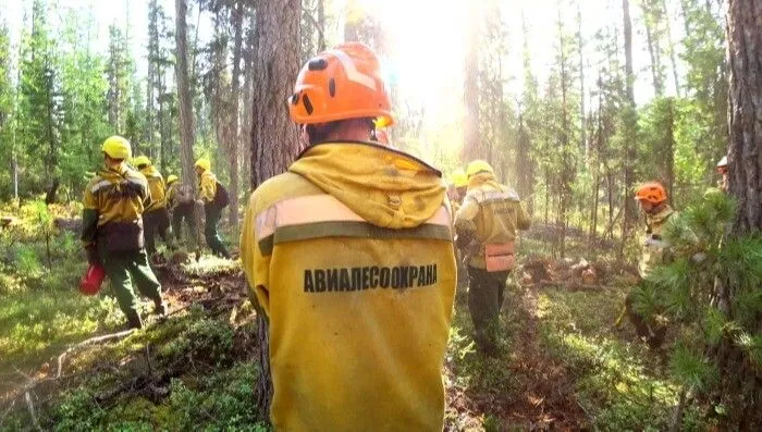 Курганский губернатор из-за пожаров предложил разместить в регионе подразделение Авиалесоохраны