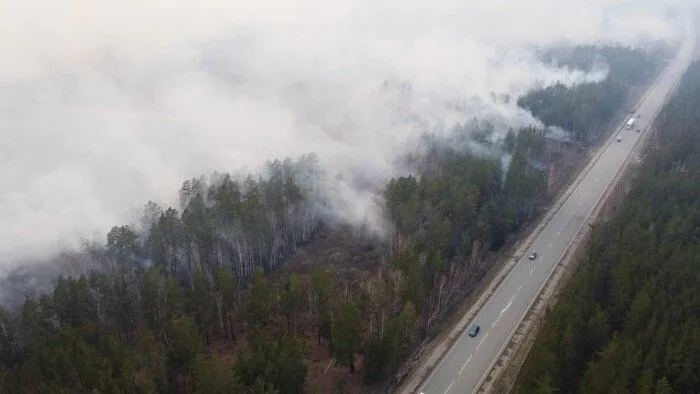 Режим ЧС ввели в Курганской области из-за угрозы пожаров