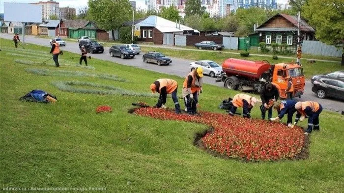 Рязань летом украсят 400 тыс. цветов-однолетников