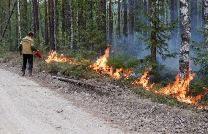 Особый противопожарный режим введен в Орловской области