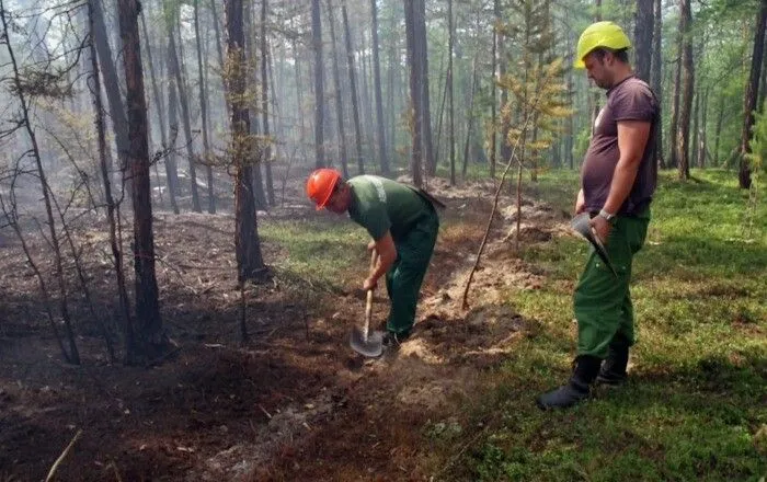 Все лесные пожары на Ямале потушены