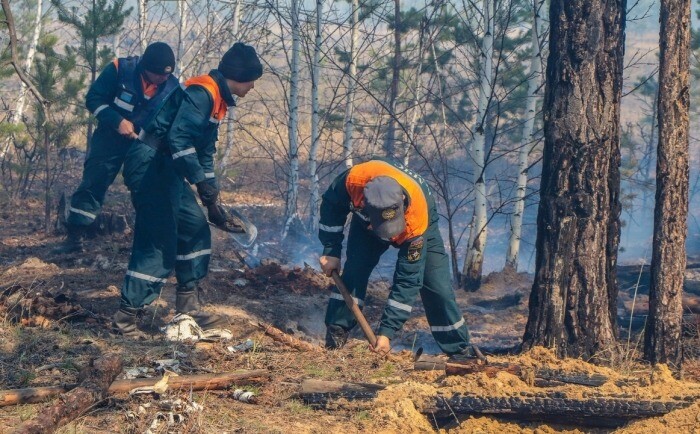 Высокий уровень пожарной опасности сохранится в Курганской области до середины недели