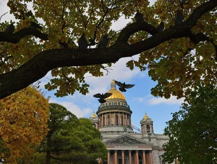 Начало осени в Петербурге стало самым холодным за 106 лет