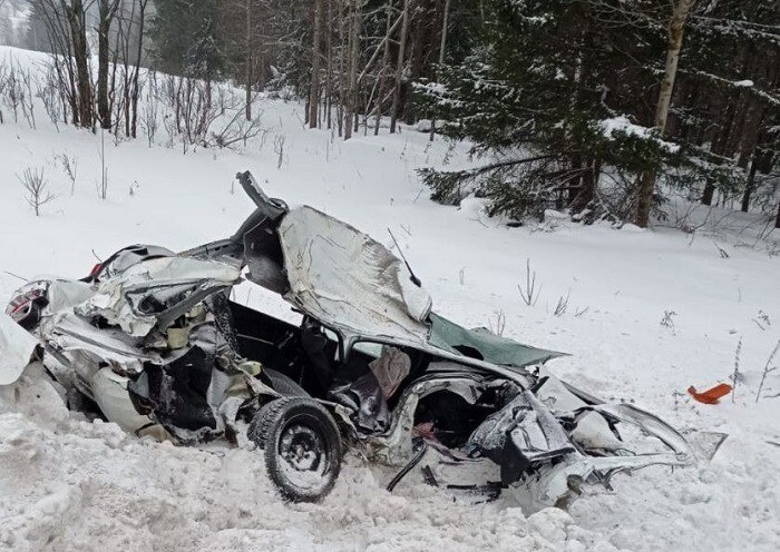 Двое полицейских и подозреваемый погибли в ДТП на трассе в Удмуртии