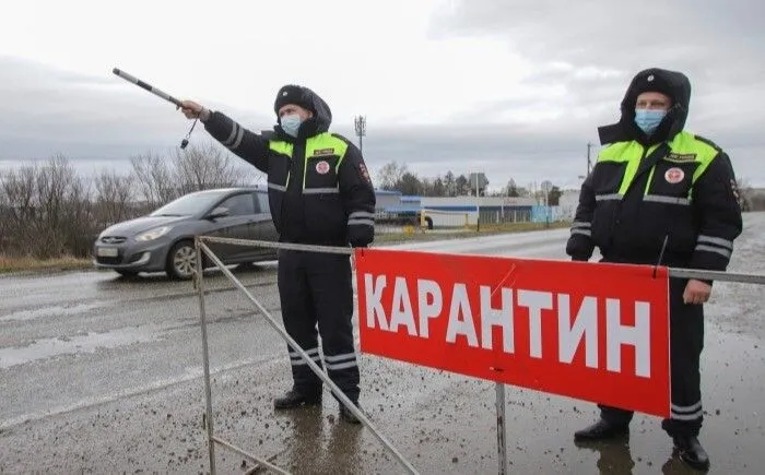 Карантин по бешенству ввели в новгородском поселке Рощино
