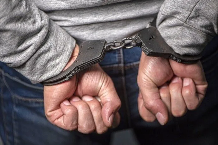 Полиция задержала подозреваемого в убийстве диких оленей на Сахалине - следком