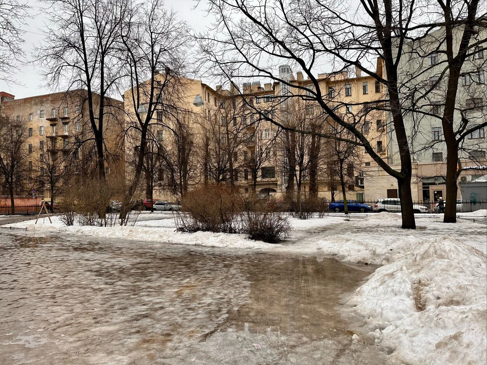 Две трети снега растаяло в Петербурге за вторник