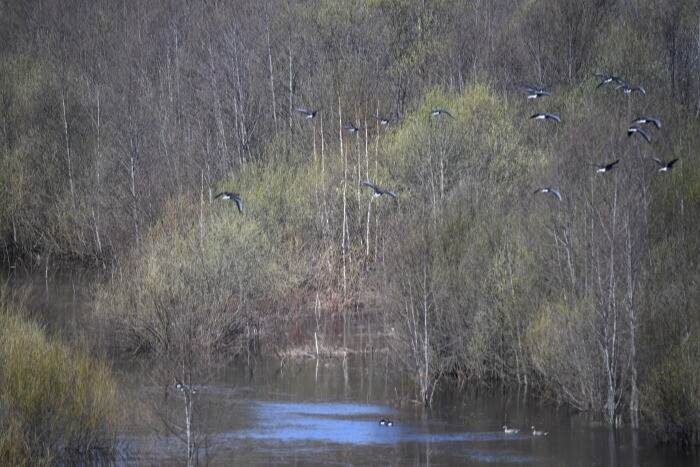 Власти Костромской области на два месяца вводят запрет на движение маломерных судов на нерестовых участках водоемов