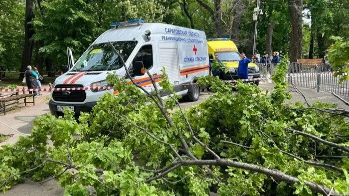 Женщина и ребенок погибли в результате падения дерева в парке Саратова