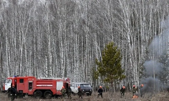 Площадь лесных пожаров в Магаданской области выросла почти на 36 тыс. га за сутки