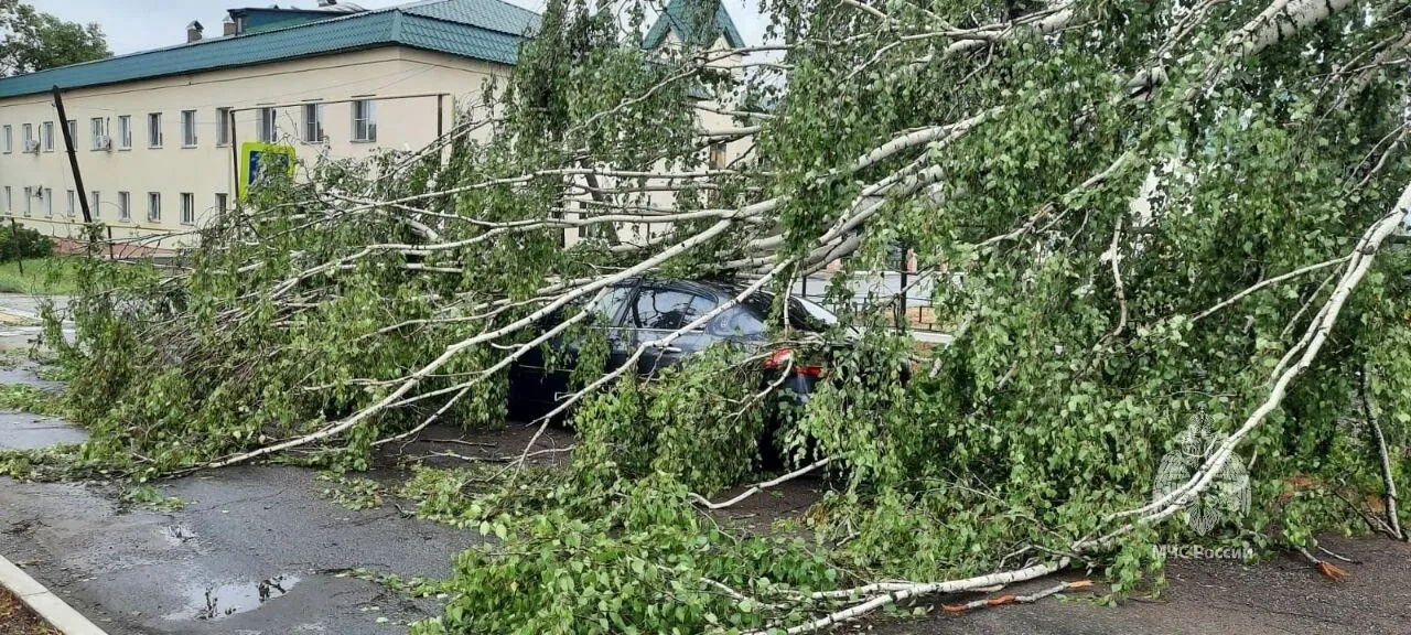 Режим ЧС введен на северо-востоке Татарстана после урагана