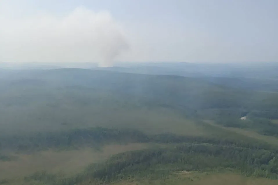 Около 30 природных пожаров тушат в самом крупном районе Приамурья