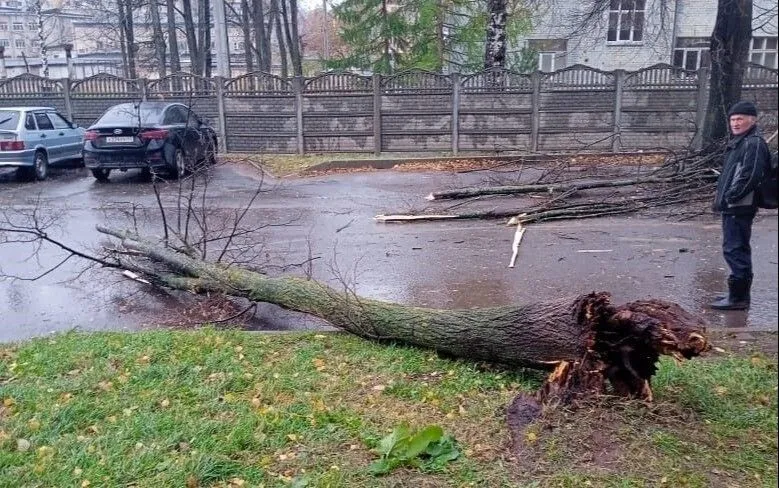 Последствия непогоды устраняют в Кирове