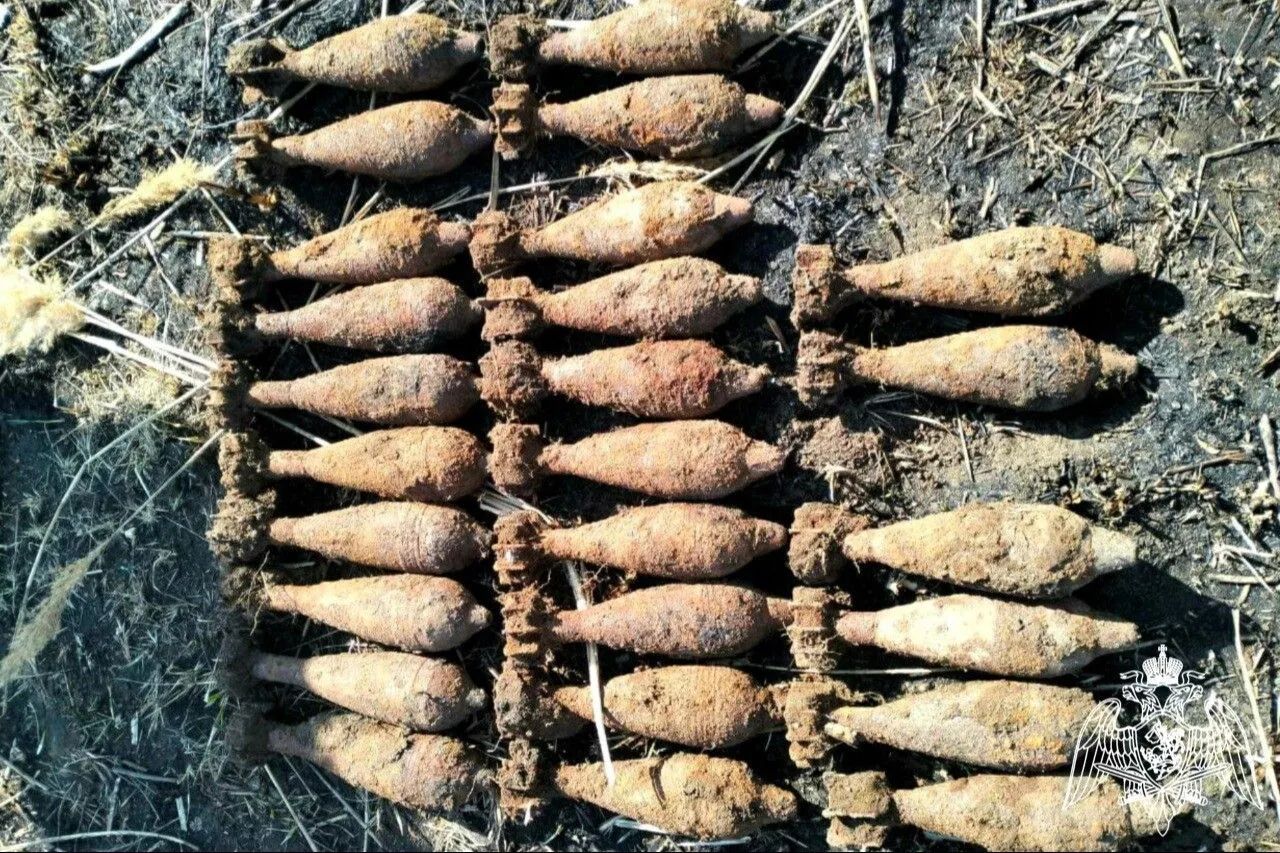 Порядка 50 боеприпасов времен войны уничтожили на Кубани